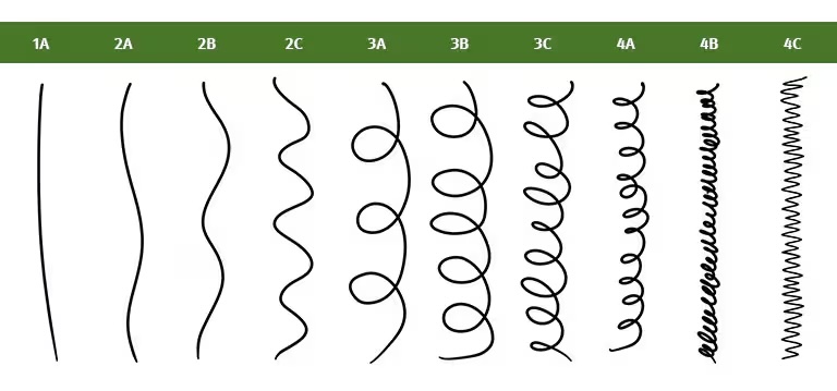 How to Determine Your Hair Type and Curl Pattern | Soleil Salon • Spa ...